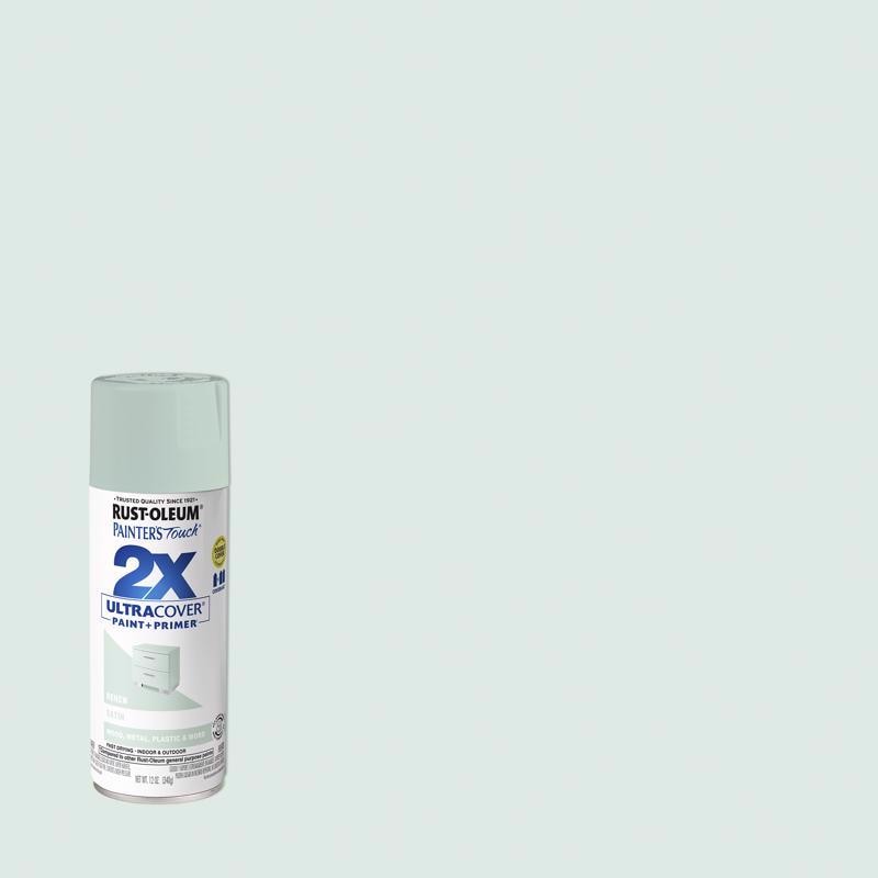 PNT+PRMR STN RNW 12OZ