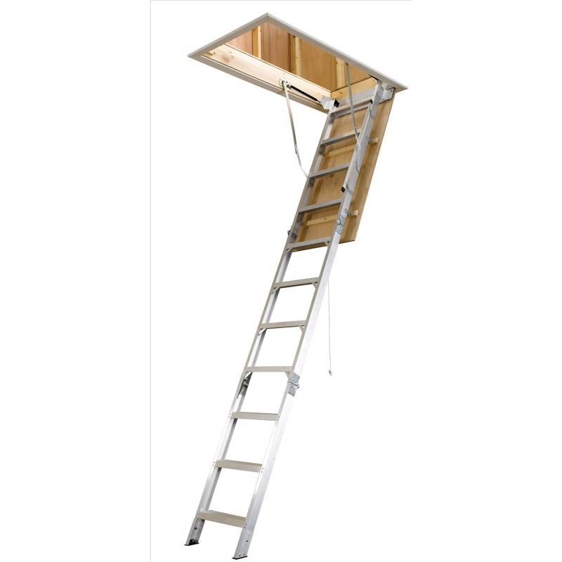 ATC LADDER AL10FT