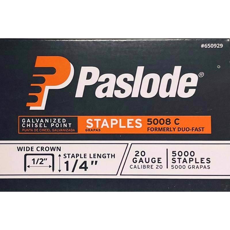 STAPLES 1/4" WIDE CRWN 20G