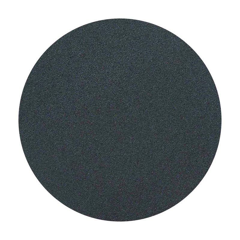 SANDDISC STICKON  8" 80G