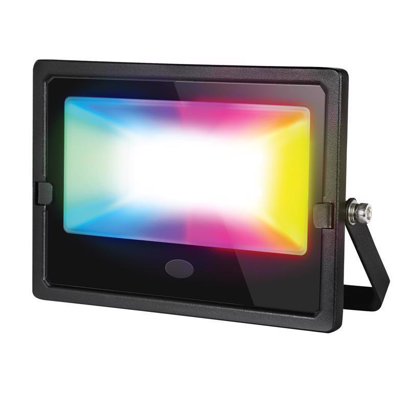 FLOODLIGHT LED W/REMOTE