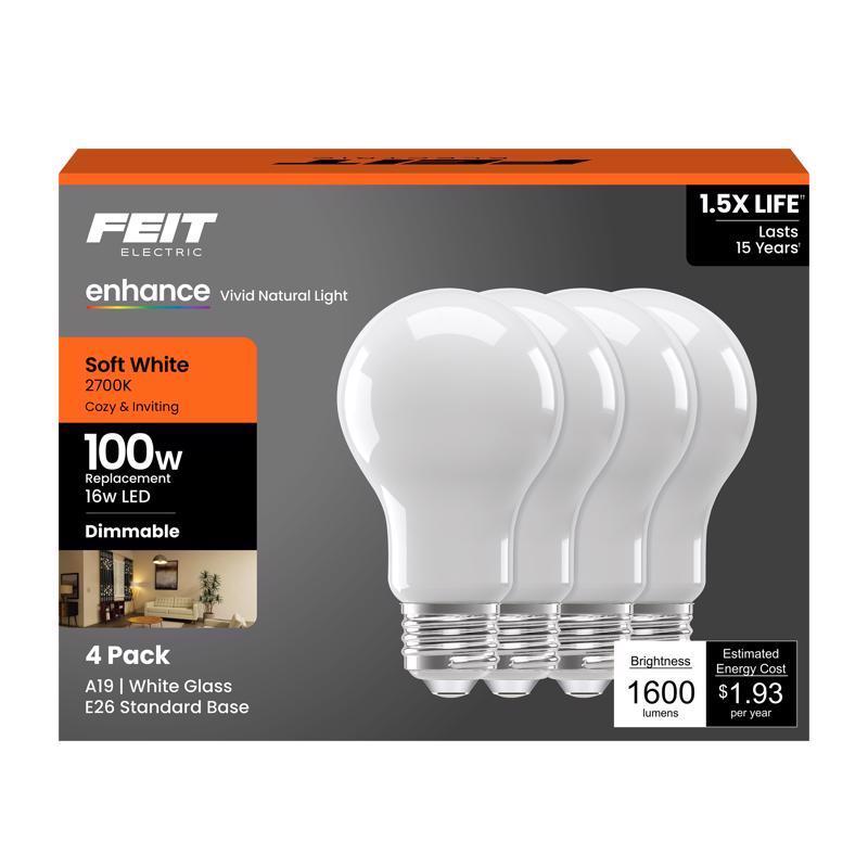 FT LED A19 SW 100W 4PK