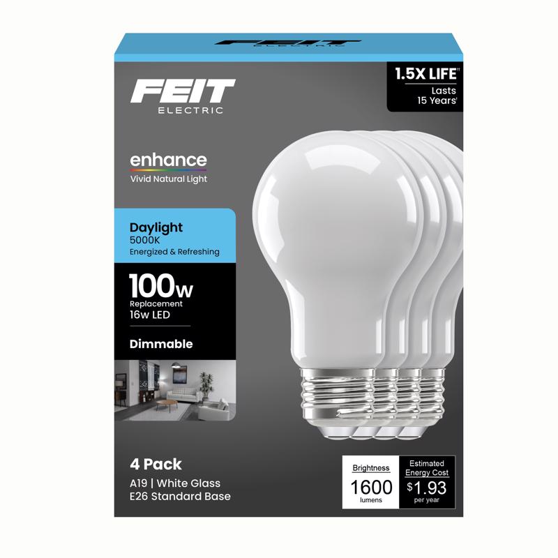 FT LED A19 DL 100W 4PK