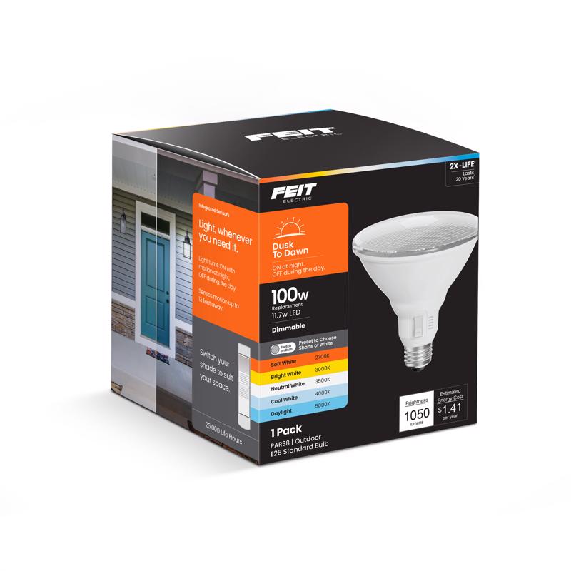 FT LED PAR38 CC 100W