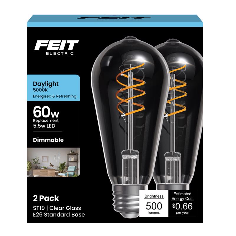 FT LED WF ST19 DL 60W