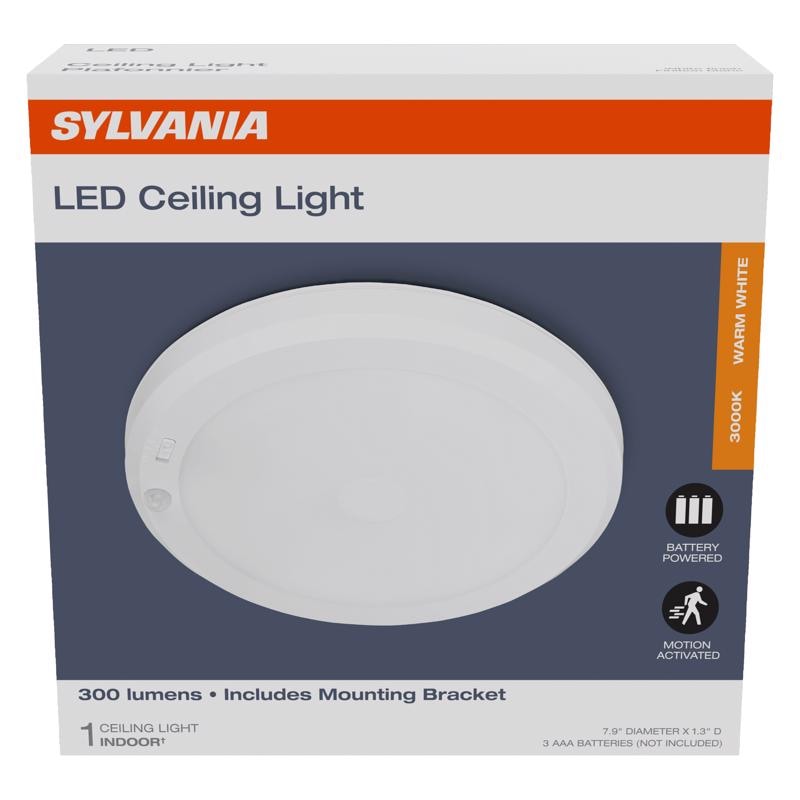 CLNG LGHT LED WHT 300LM