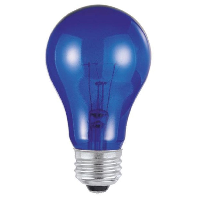 BULB 25W A19 BLUE