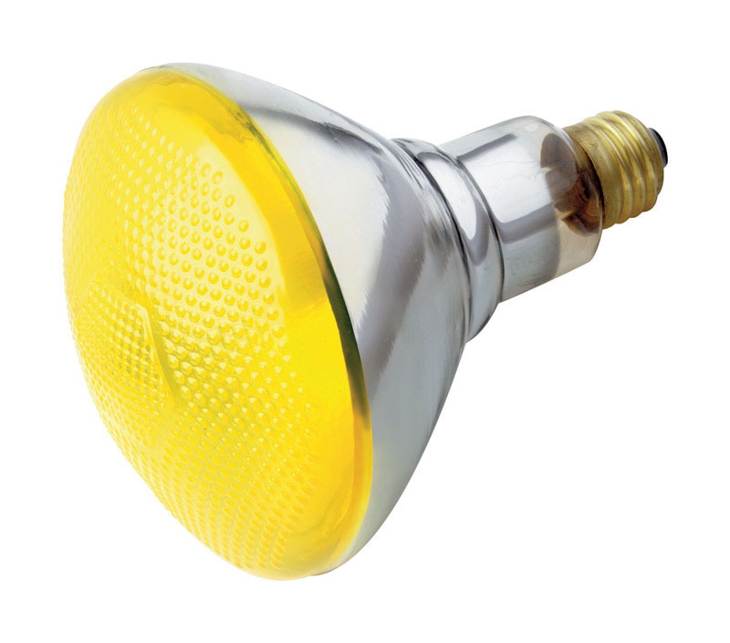 REFLECTOR BULB YLW 100W