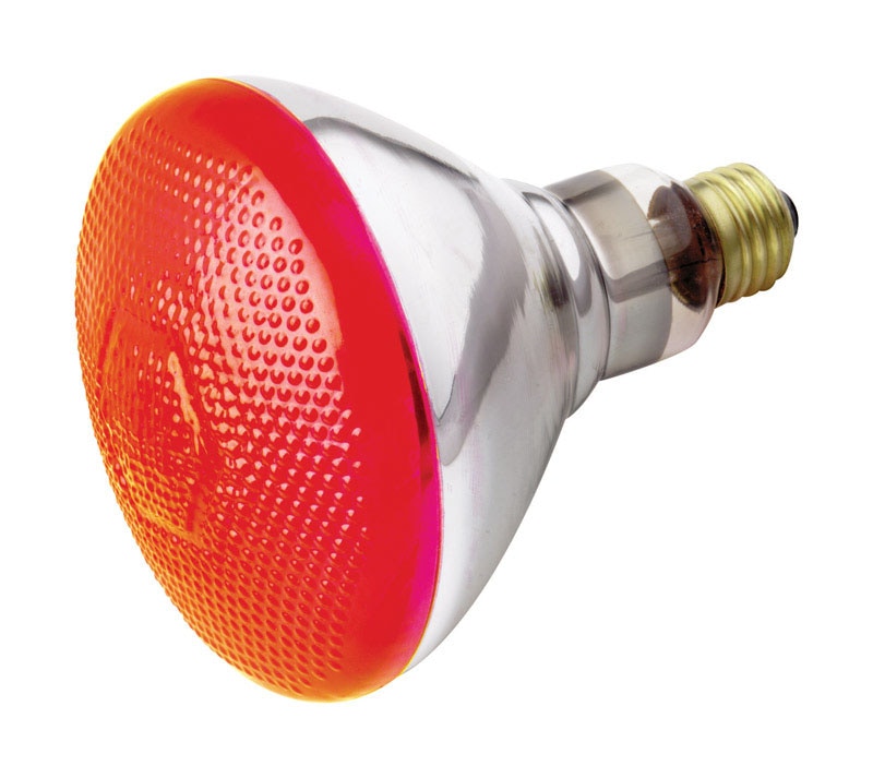 REFLECTOR BULB RED 100W