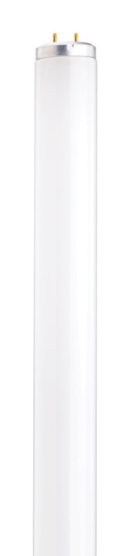 BULB FLUOR F20T12/CW 24"