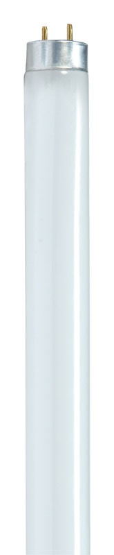 BULB FLUOR F32T8/841 48"