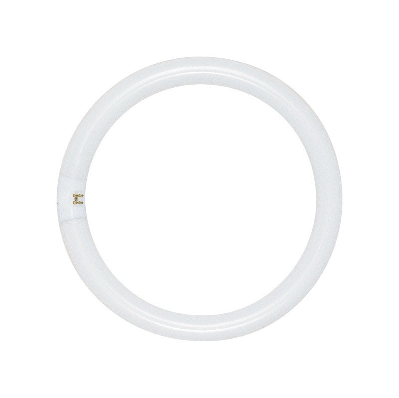 BULB FLUOR CIRCLE 8" 22W