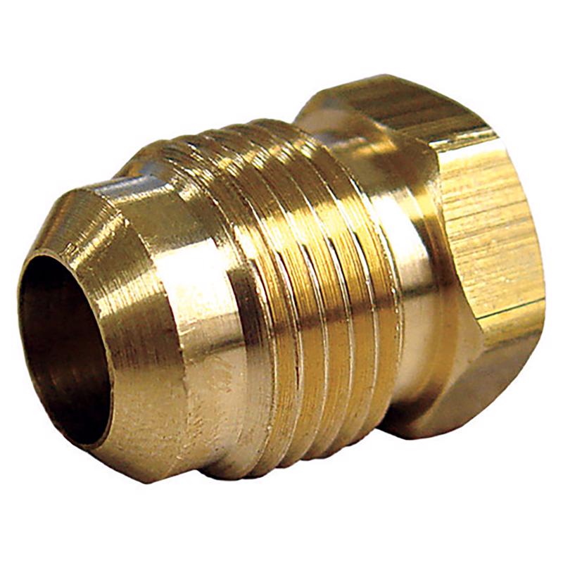 HEX PLUG 1/2 FLR BRS