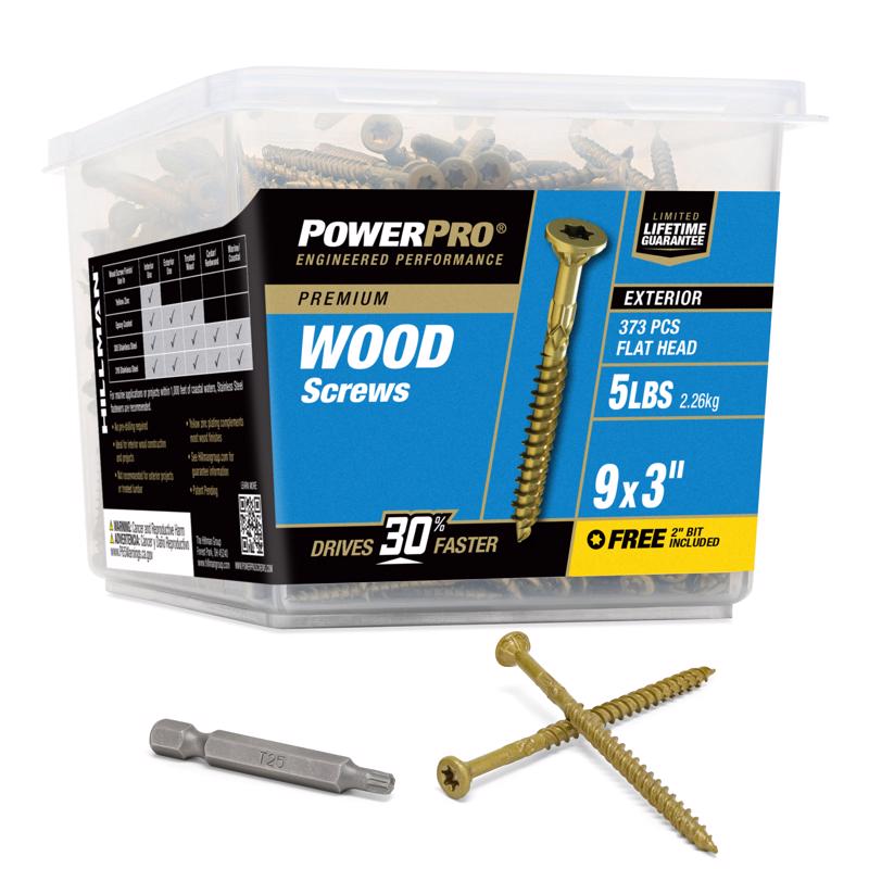 DECK SCREW PP #9X3"