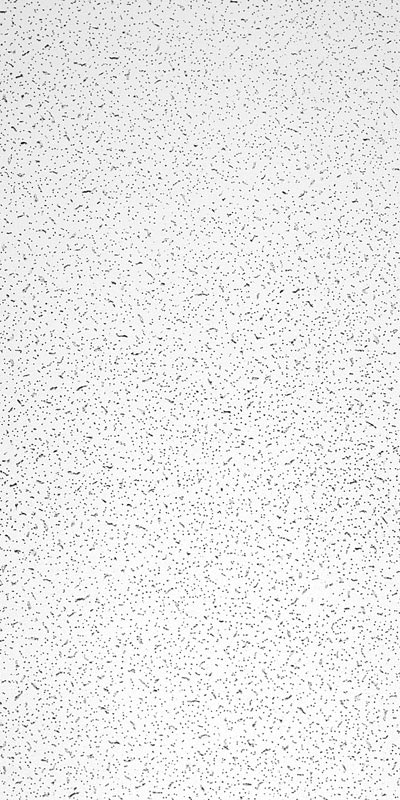 CEILING TILE PLATEAU 4X2