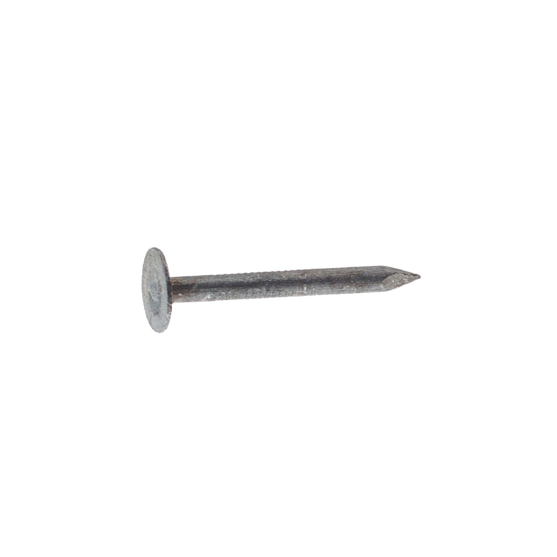 ROOF NAIL EG 1.5" 30#