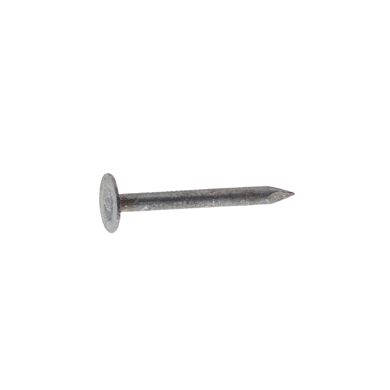 NAIL ROOF EG STL 3/4" 1#