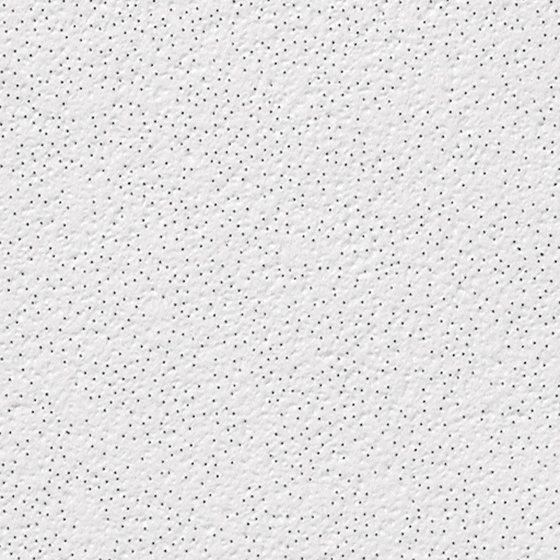 CEILING TILE ALPINE 2X2'