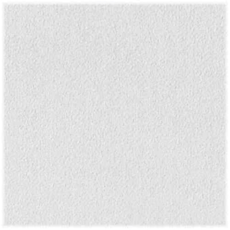 CEIL PNL SHEETROCK 2'X2'
