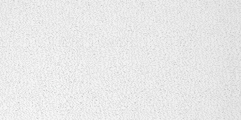 CEIL PANEL RADAR 4'X2'