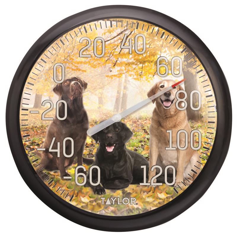 THERMOMTR IN/OUT13.5LABS