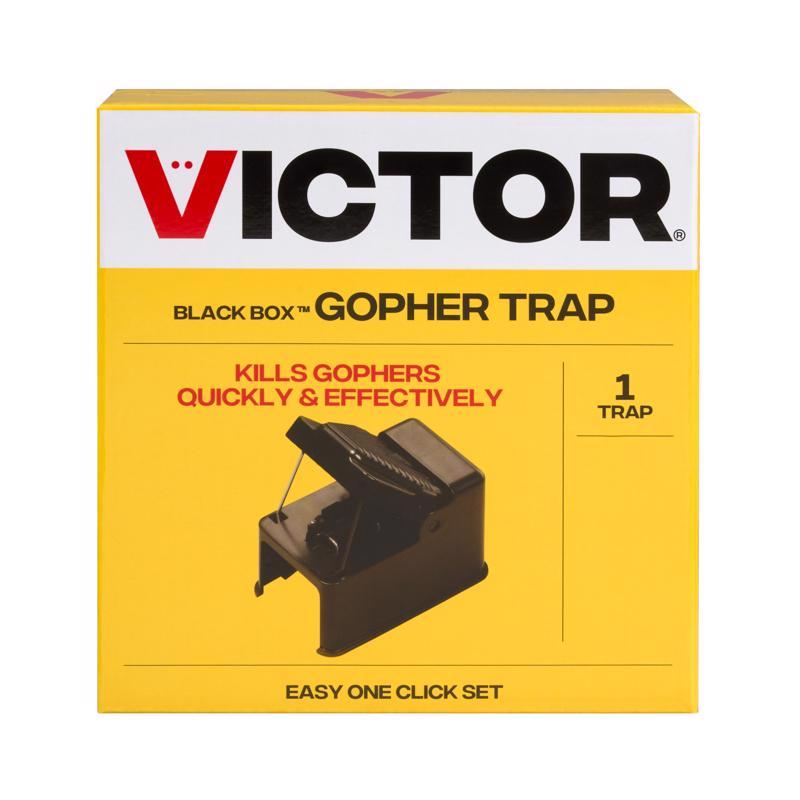 GOPHER TRAP CHKR BLKBOX