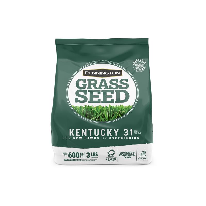GRASS SEED KY31 TF 3#