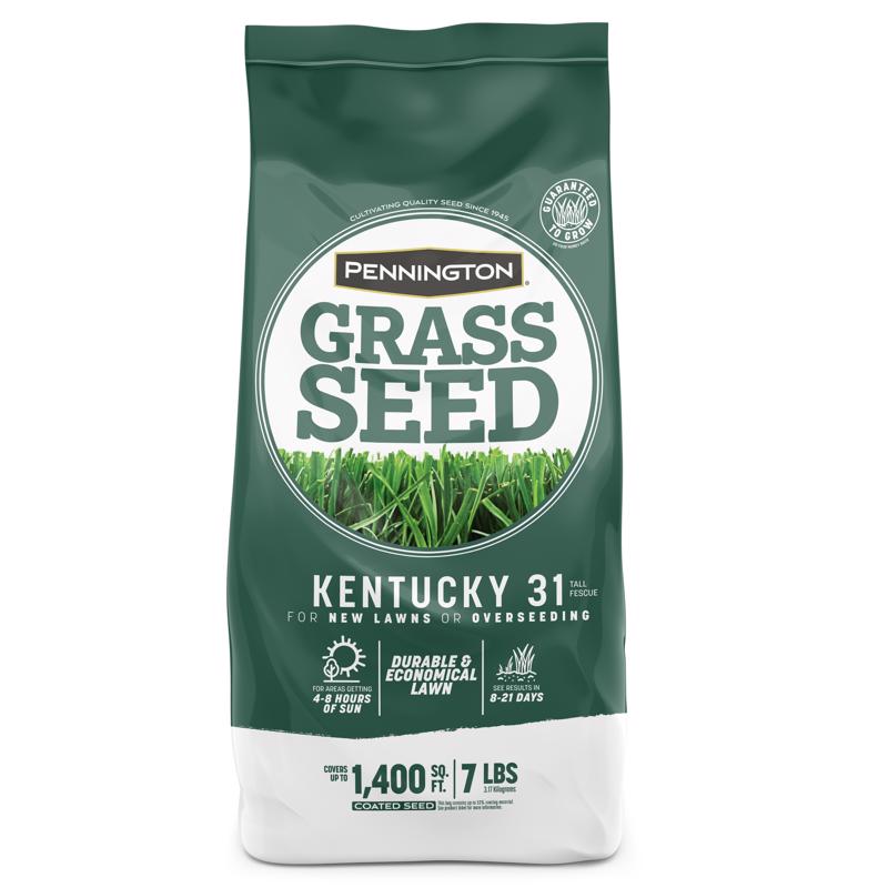 GRASS SEED KY31 TF 7#