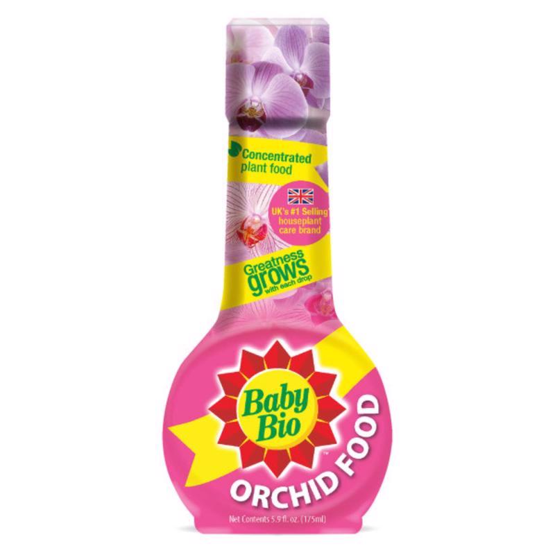 PLANT FD ORCHID 5.9OZ