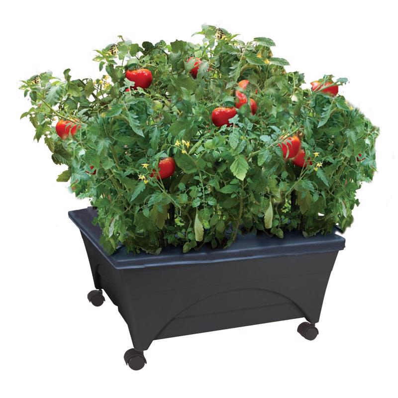 GARDEN BED RSN CHRCL 11"