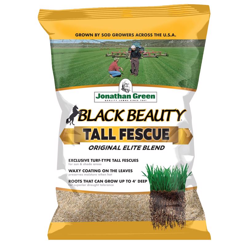 GRASS SD TALL FSC GRS 3#