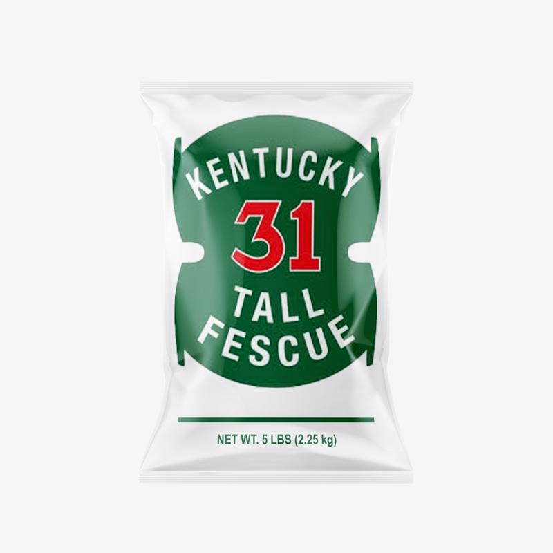 K-31 TALL FESCUE 5#
