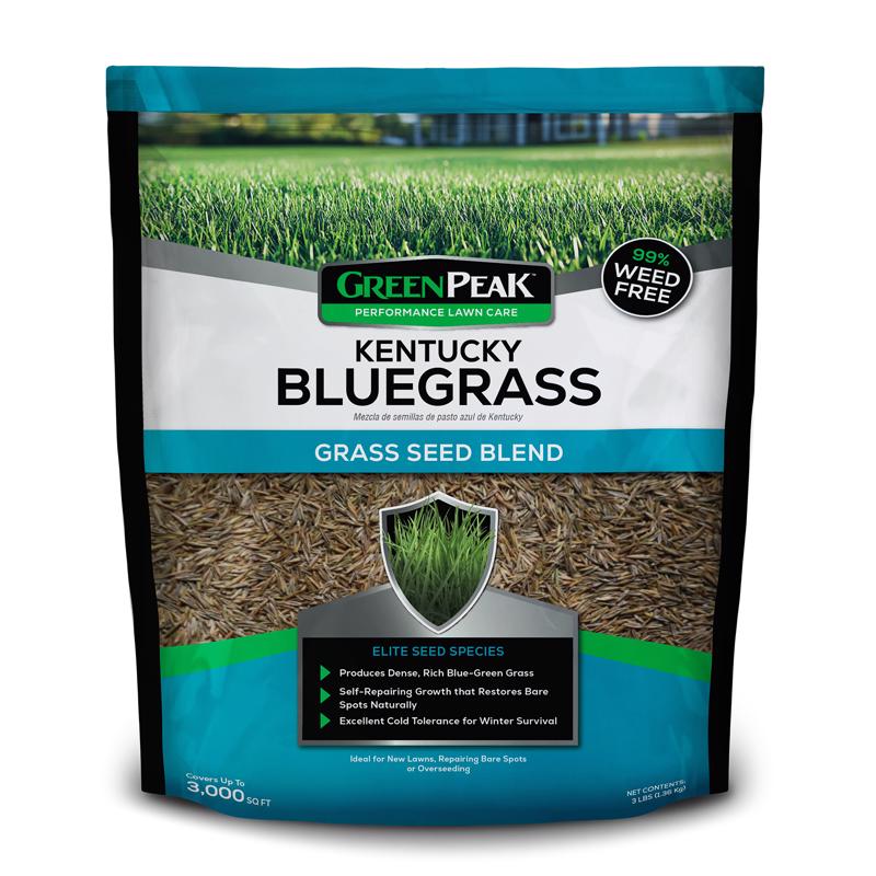 GRS SD KNTCKY BLGRS 3#