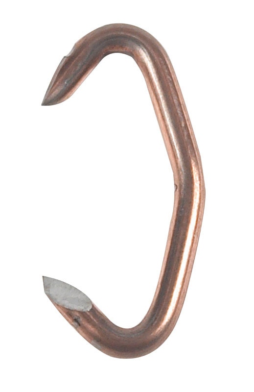 HOG RING HILLHUMP#1PK100