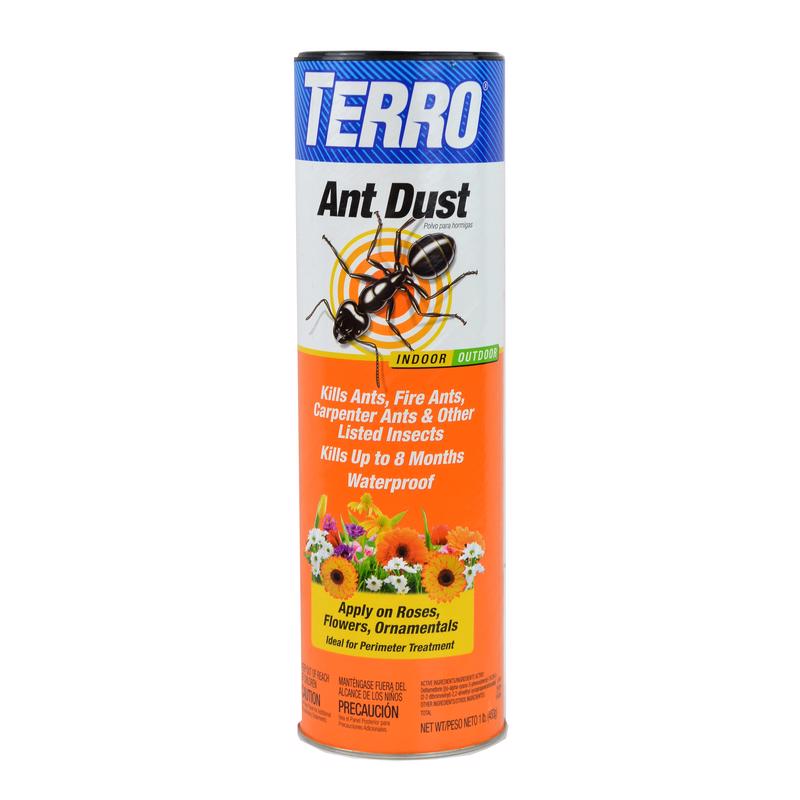 DUST ANT TERRO 1#