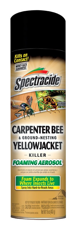 CARPENTER BEE& WASP 16OZ