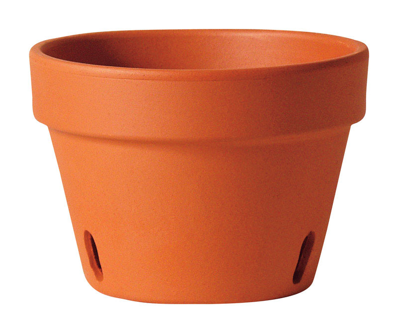 RED CLAY ORCHID POT 8.3"