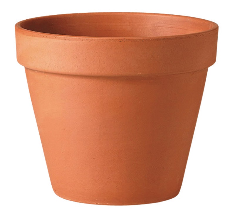 RED CLAY POT 10"