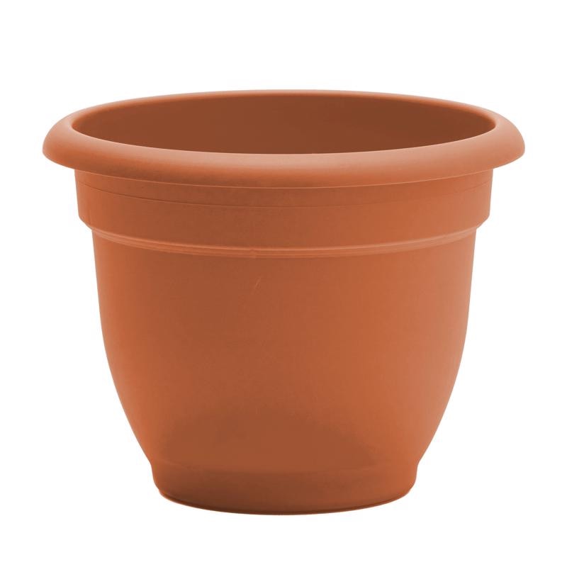 ARIANA POT TRCOT 10"