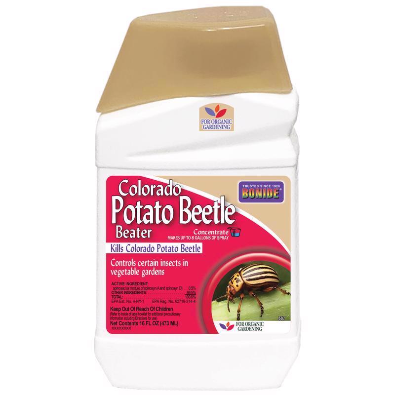 CO POTATO BEETLE 16OZ