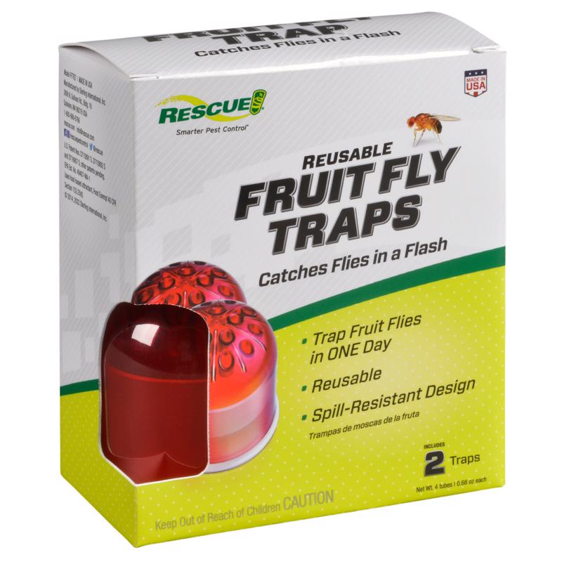 FRUIT FLY TRAP 2PK