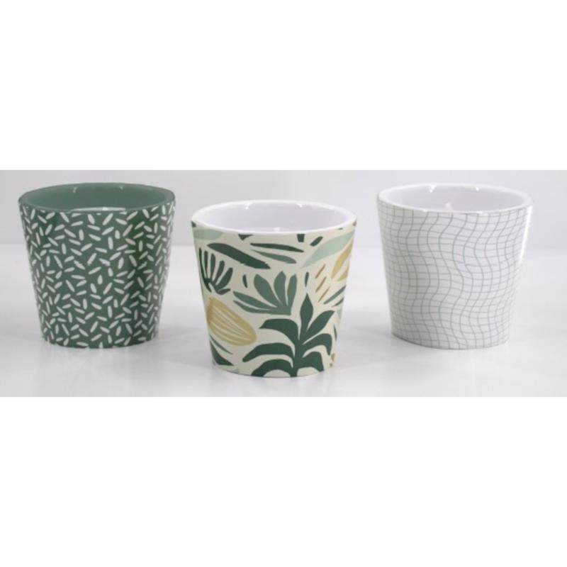 PATERN CITRO CNDL 6OZ