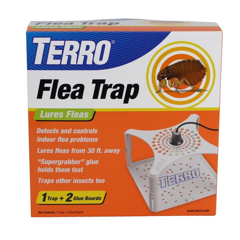 FLEA TRAP GLUE INDR