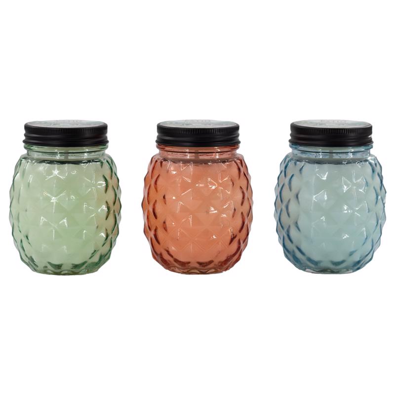 CITRO CANDLE GLS PNAPPL