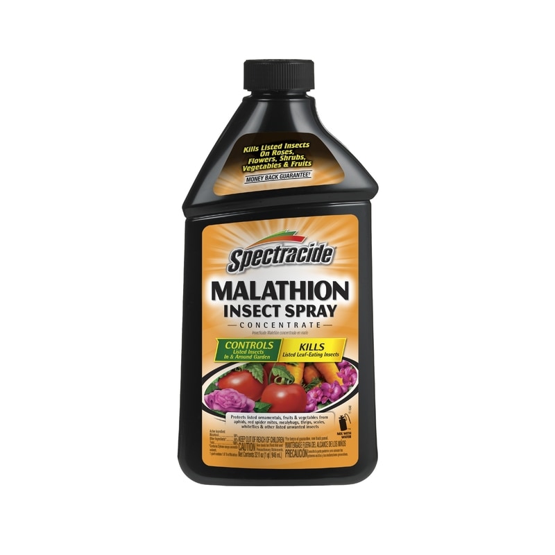 MALATHION SPRY CONC 32OZ