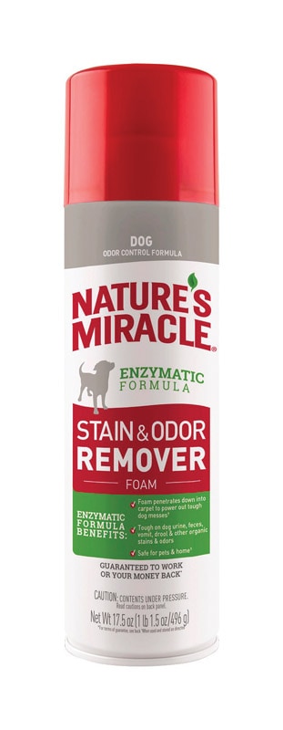 DOG STAIN&ODOR RMV17.5OZ