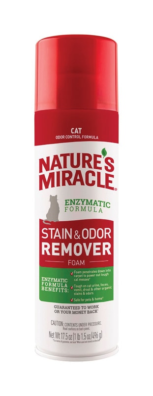CAT STAIN&ODOR RMV17.5OZ