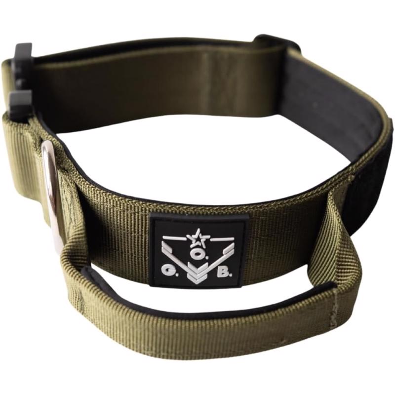 ADJSTBL COLLAR NYL GRN