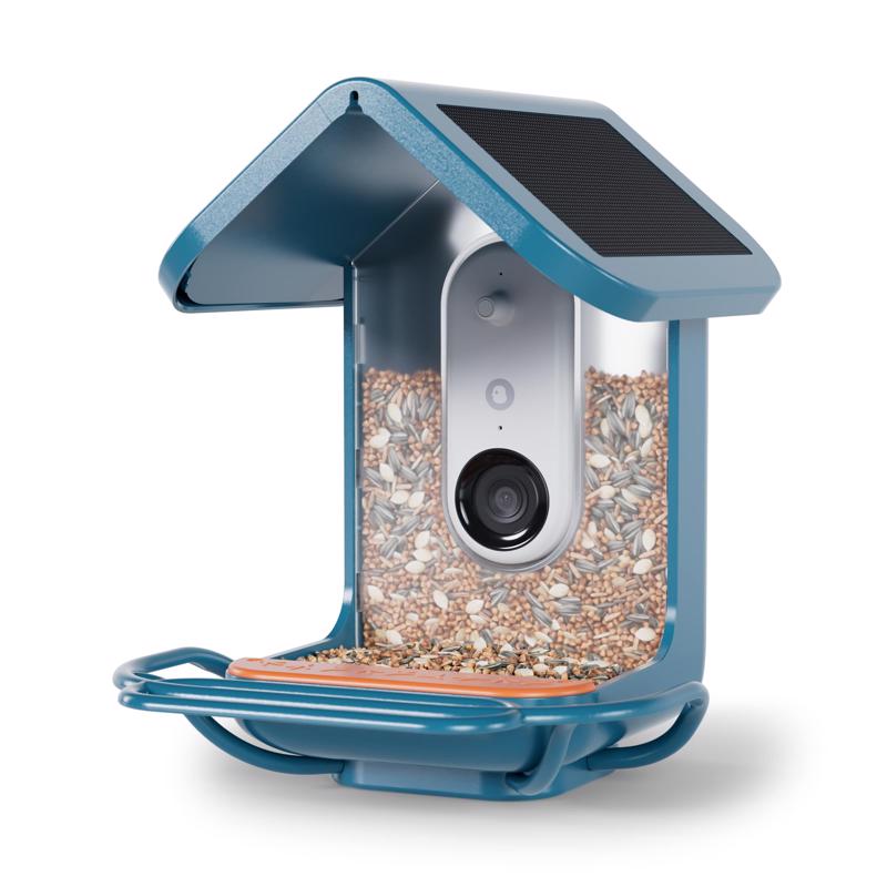 BRD FDR PRCH EXTNDR BLU