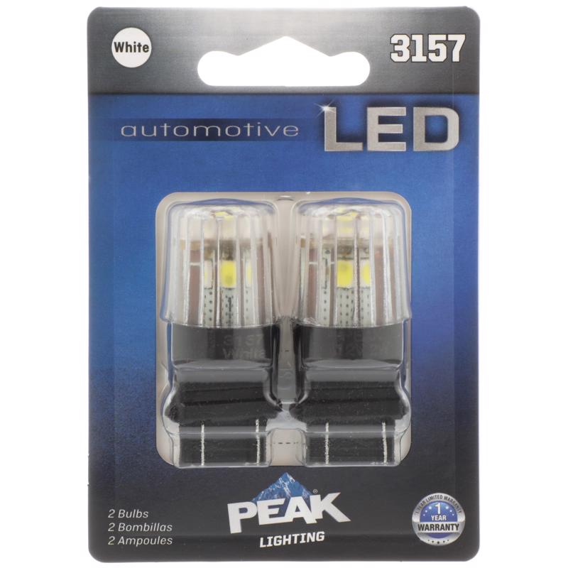 MNTR ATMTV BLB LED 3157